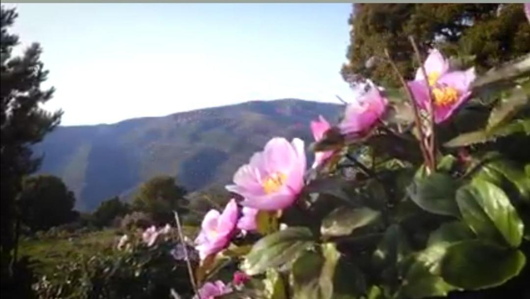 Stellaria In Montagna Panorama Stupendo Sardegna Apartment