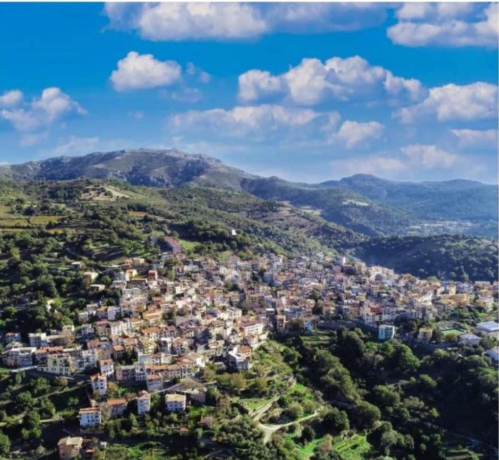 Stellaria In Montagna Panorama Stupendo Sardegna * Seùlo