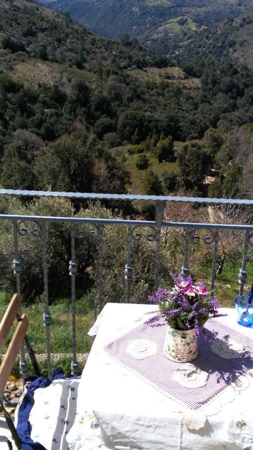 Stellaria In Montagna Panorama Stupendo Sardegna