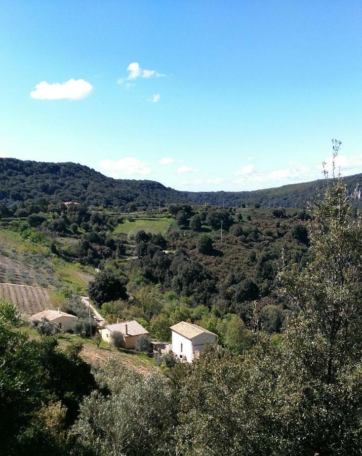Stellaria In Montagna Panorama Stupendo Sardegna Apartment *