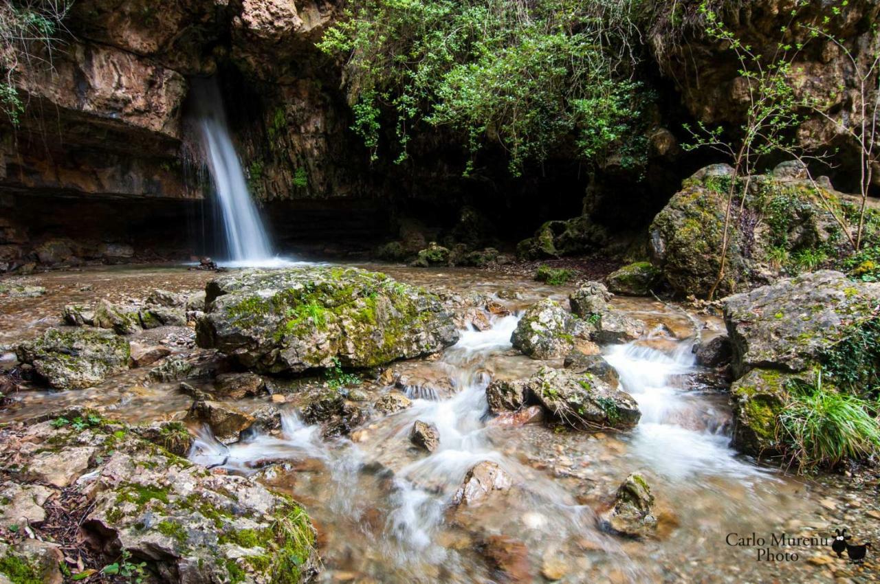 Stellaria In Montagna Panorama Stupendo Sardegna * Seulo