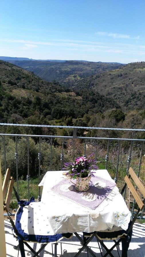 Stellaria In Montagna Panorama Stupendo Sardegna Apartment Seulo