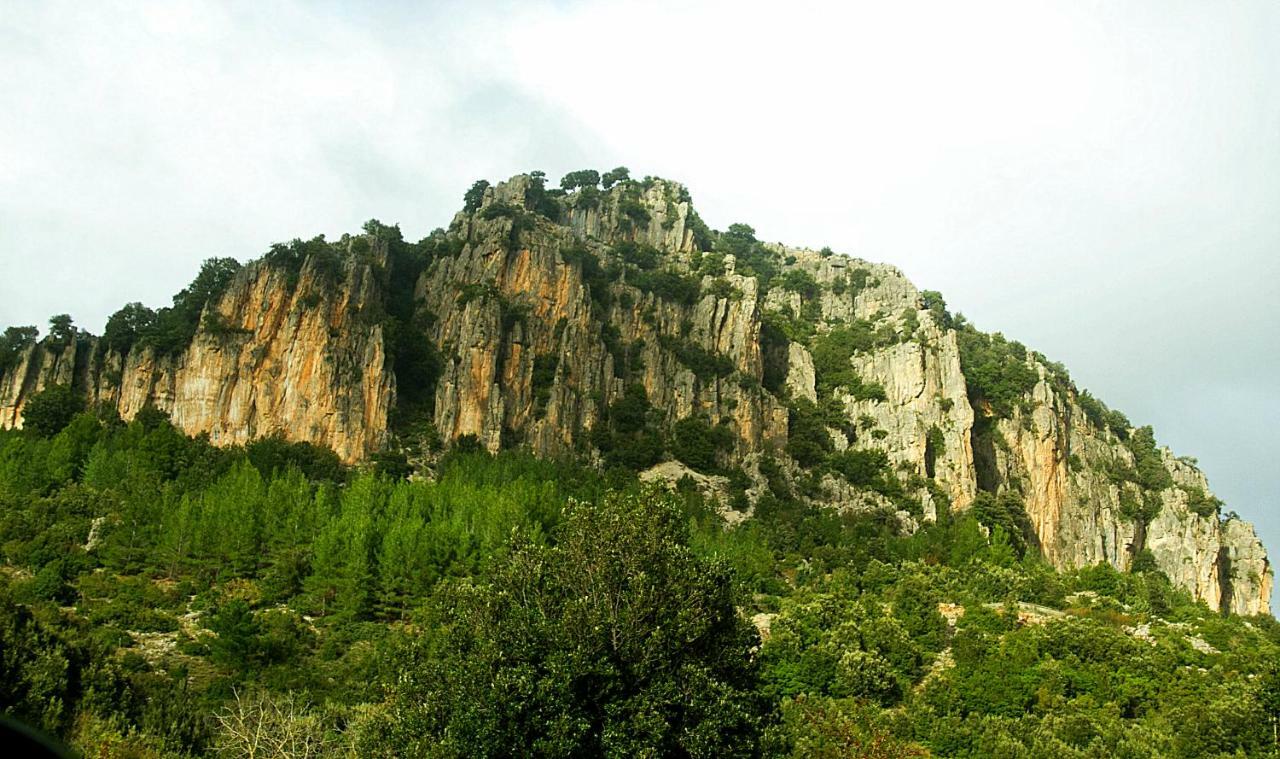Apartment Stellaria In Montagna Panorama Stupendo Sardegna