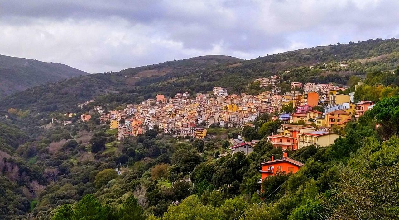 Apartment Stellaria In Montagna Panorama Stupendo Sardegna *