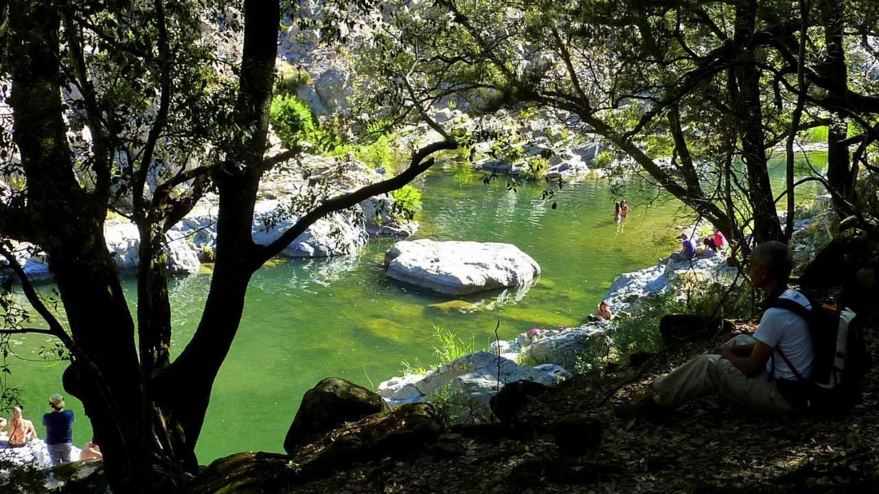 Stellaria In Montagna Panorama Stupendo Sardegna * Seùlo